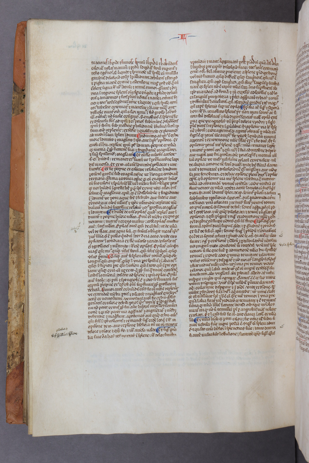 Folio 121 verso